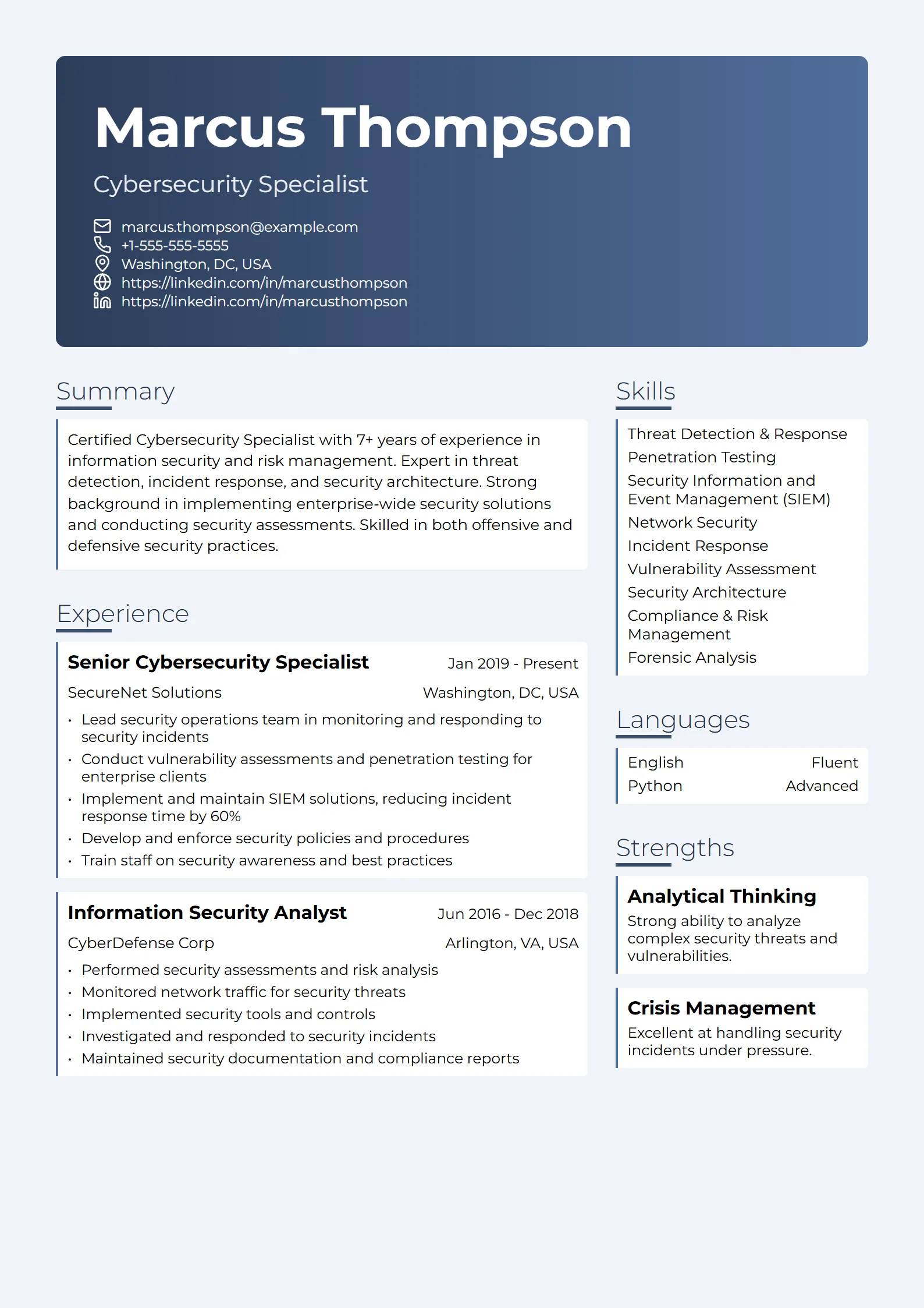 Sentinel — Best for Cybersecurity Specialist template preview