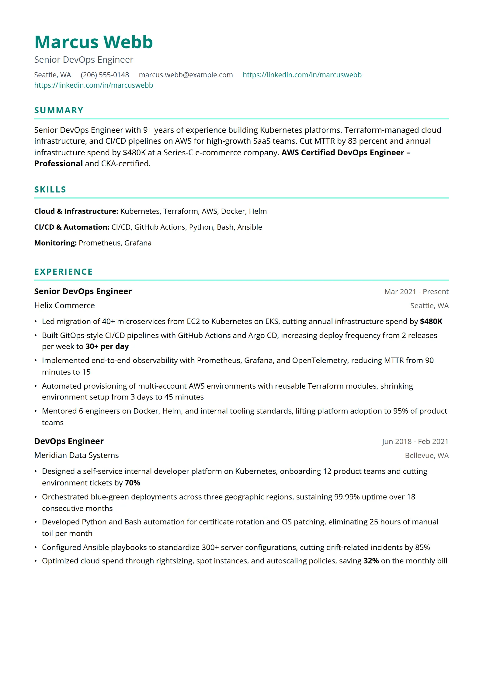 Reef — Best for DevOps Engineer template preview