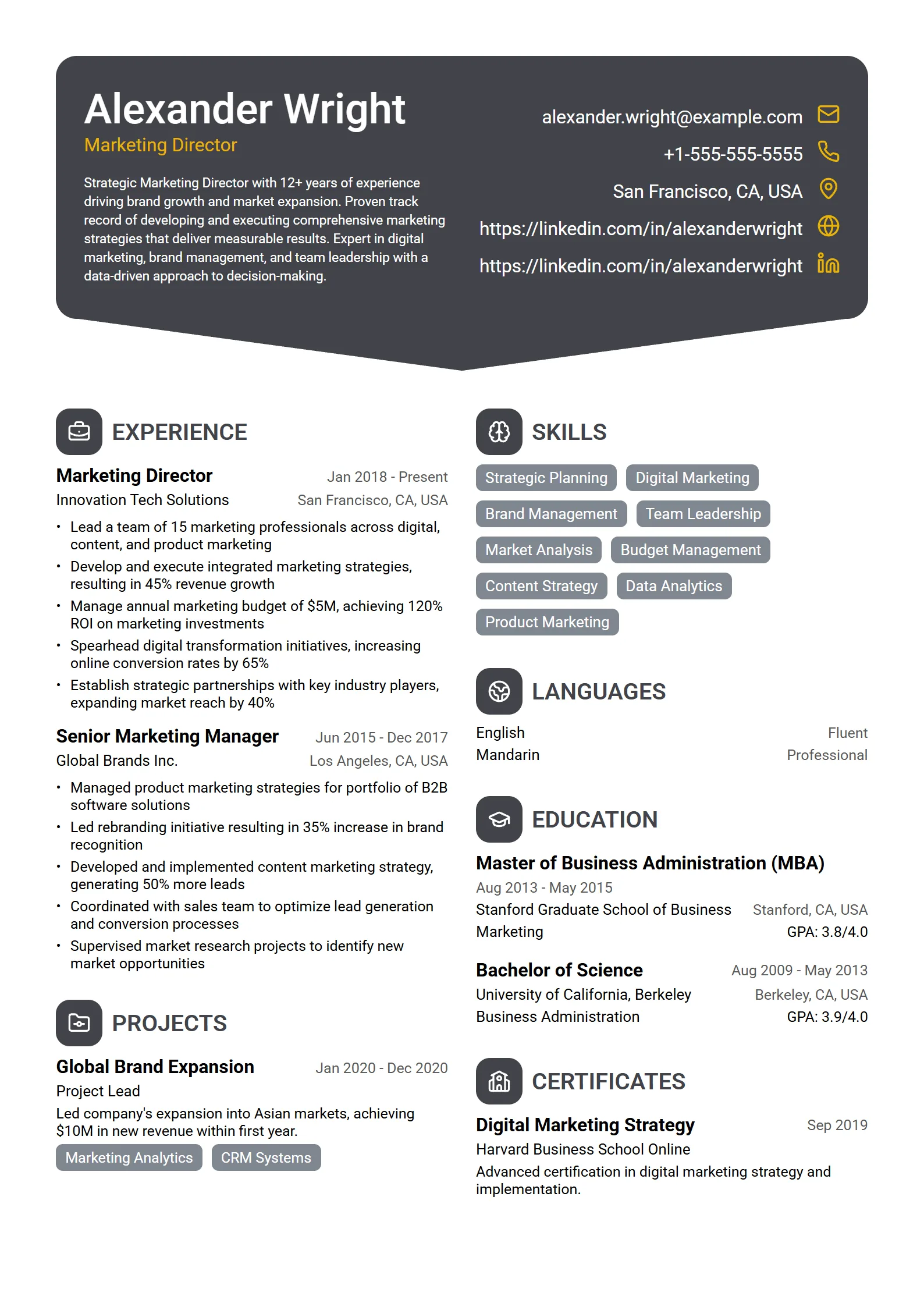 Onyx — Best for Marketing Director template preview