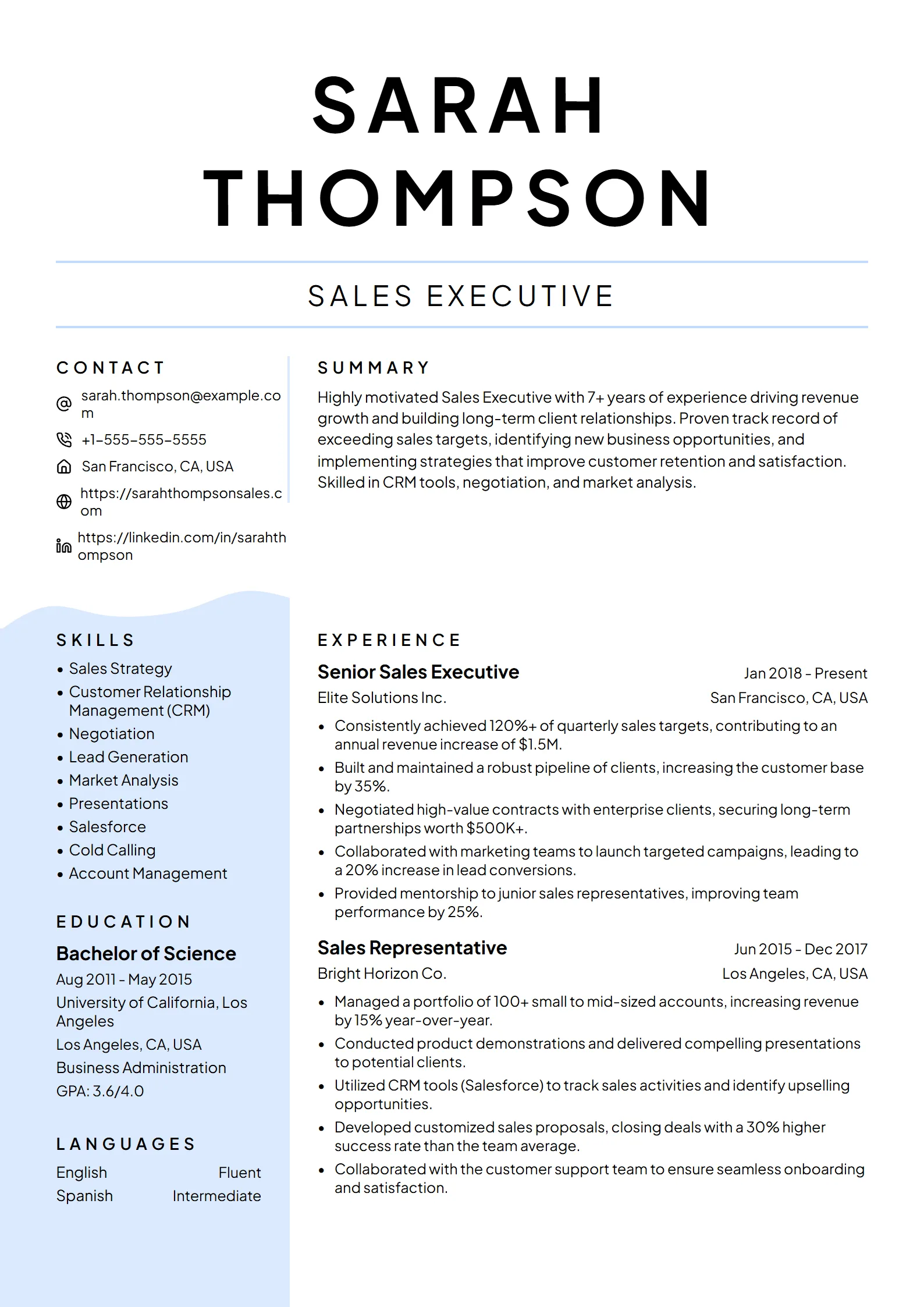 Harbor — Best for Sales Executive template preview