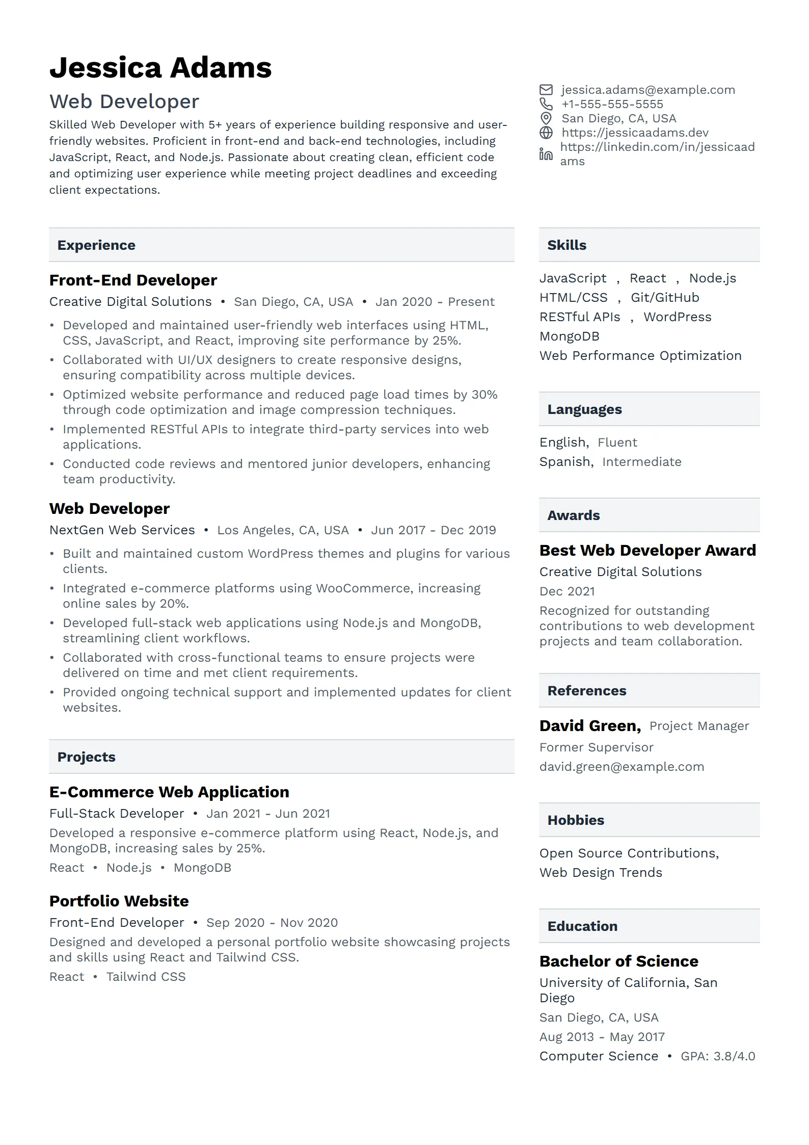 Flint — Best for Web Developer template preview